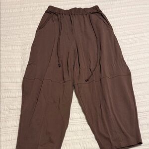 Brown Relaxed Fit Pants